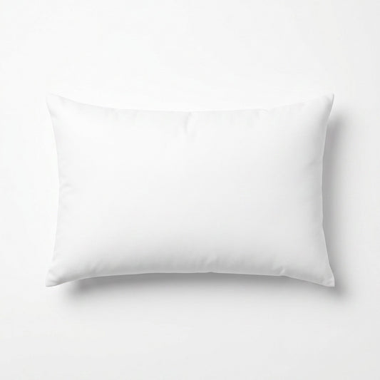 DELUXE Queen Size Pillow (2 pack)